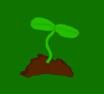 OVERGROWN PLANTS LITTLE SEEDS