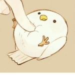 The Owl Team!
