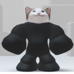 Cats United EPIC CATS