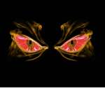 5565324x3524