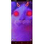 Coopers:)