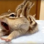 Goofy Nextbots Offical group