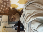 Mr cuddles