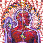 inventive lateralus
