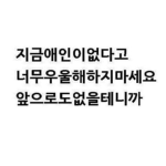 입양하새요 특수부대