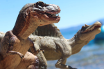 Jurassic Wonders