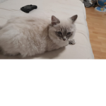 Für Nisa und meine Freunde:)