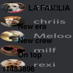 Los modelos