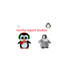 Northy Report  Studios
