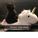 Hamilton roleplay group!