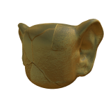 Golden Big Ear