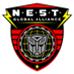 n.e.s.t organization