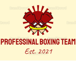 Professional Boxing Team