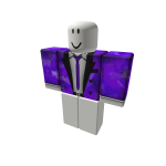 Camisa Purpura Oficial De ZS