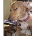 - Chloe’s Apperal -