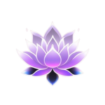 lotus ٹی