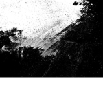 The shattered pieces