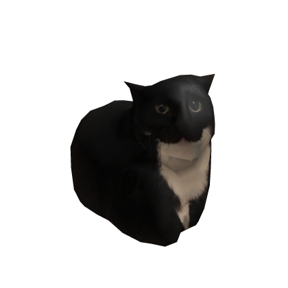 Maxwell the Shoulder Kitty thumbnail