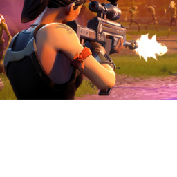 battle royal ( combat wars )