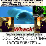 COOL GUYS CLOTHING INCORPORATED Inc.