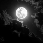 #MOONLESS
