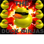 the duck ninjas