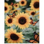 My-Sunflowers