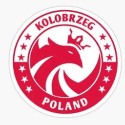 polska drunzyna siatkuwki
