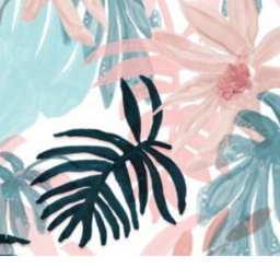 Tropical Con!