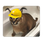 Floppas Construction