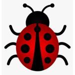 Ladybug beaut