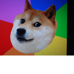 Among doge