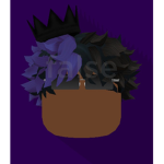 The Midnight Shadow Fan Group