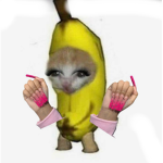 CuteBananacat