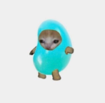 。ᴀᴠᴀᴛᴀʀ ʀᴀɴᴋɪɴɢ 。