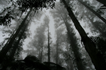 muza 1 day