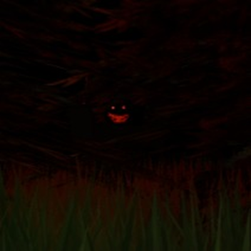 Lost In The Forest