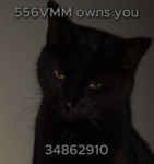 556VMM owns you