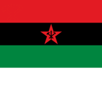 Revolutionary Black Juche-Songun Study Militia