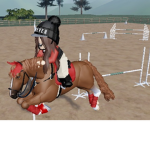 Equestrian club (horses)