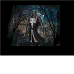 The     black        knight                Arny