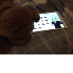 Doge Are Awesome Dogs :)