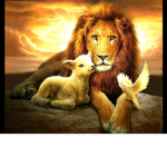 :\ Lions & Lambs /: