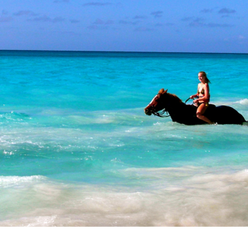 History Flash Equestrian Center and Rescue