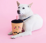 'bwoomie