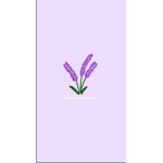 ~ Lovely Lavenders ~