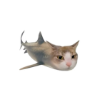 zweihxnder