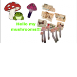 MUSHROOM_x