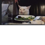 Cats op group