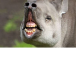 Meh for mah freinds only gROUP!!!!!!